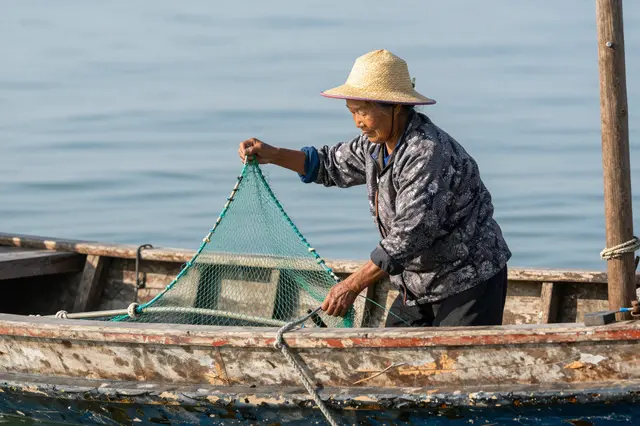 Older East Asian fisherwoman in a straw hat pulls a green fishing net aboard a weathered wooden boat on calm water.