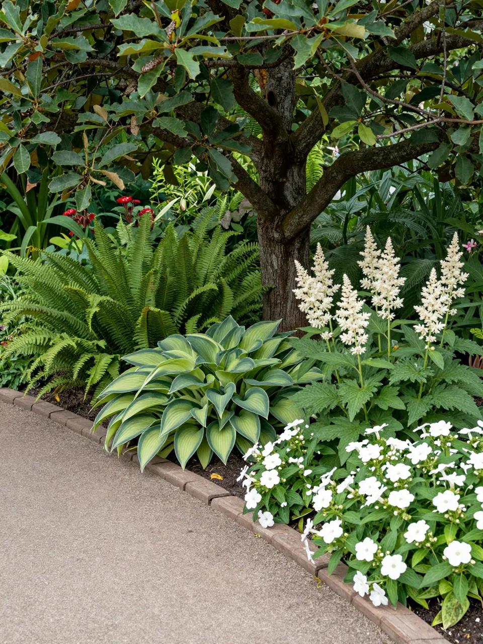 Curved garden path bordered by hostas, ferns, astilbe and white impatiens beneath a large tree trunk