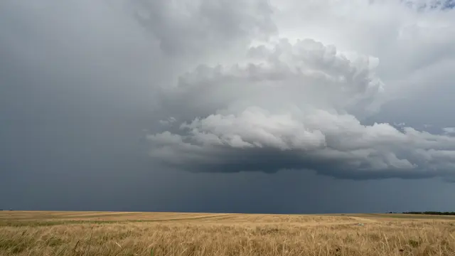 A dense dramatic shelf cloud looms over golden prairie grass ahead of an approaching storm