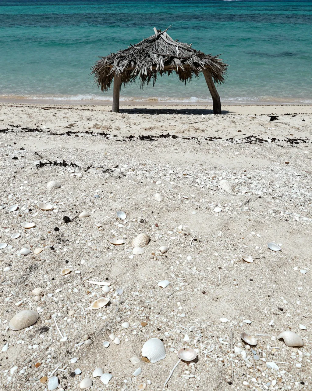 Crushed shell and sand beach with a driftwood thatch shade shelter above turquoise ocean shallows at midday