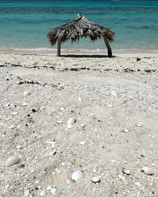 Crushed shell and sand beach with a driftwood thatch shade shelter above turquoise ocean shallows at midday