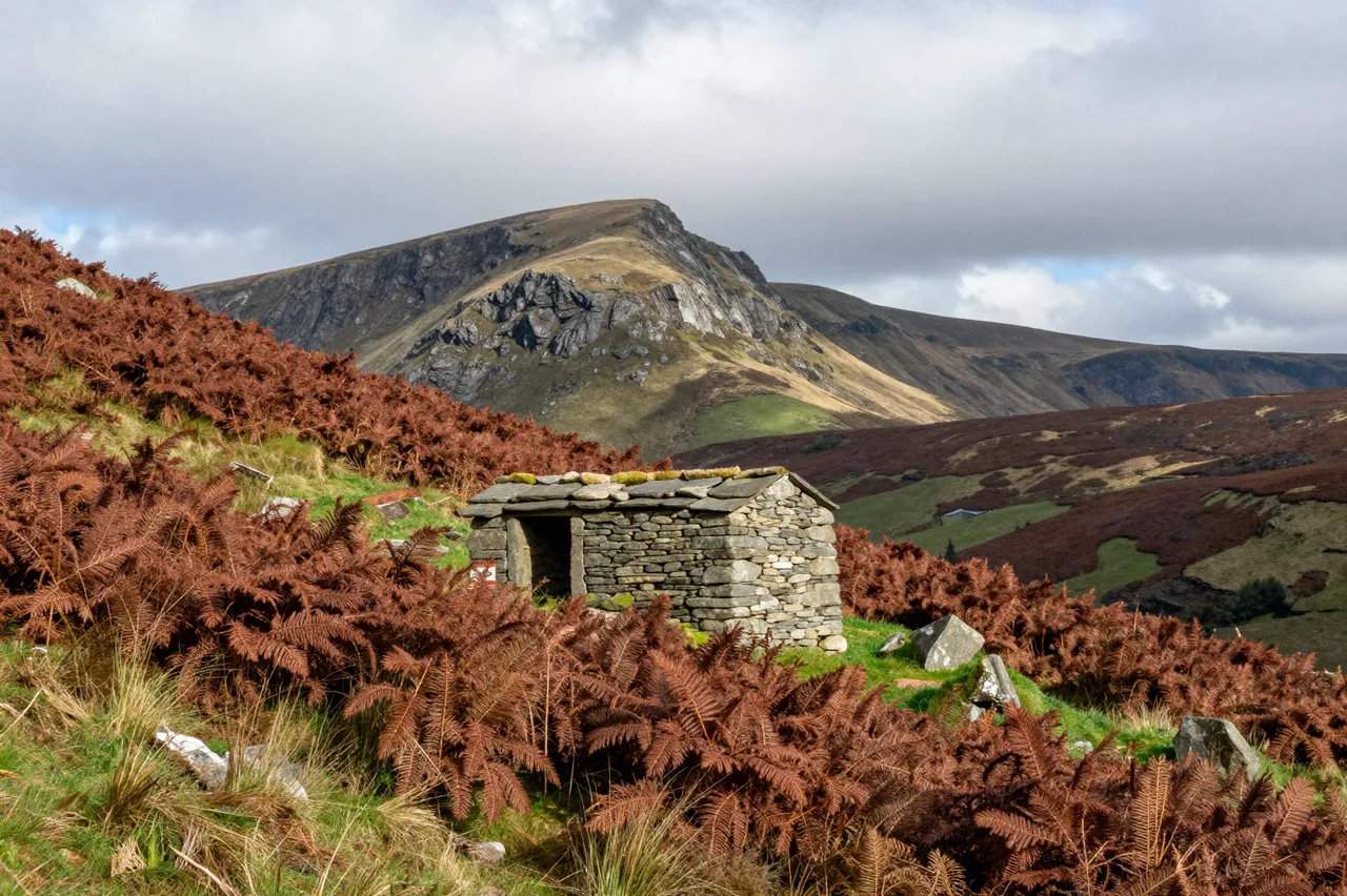 A small dry stone shepherd's hut sits on an autumn bracken-covered mountain slope under overcast skies