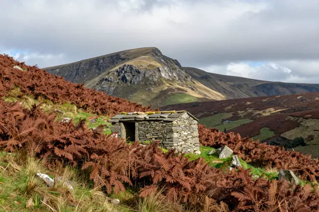 A small dry stone shepherd's hut sits on an autumn bracken-covered mountain slope under overcast skies