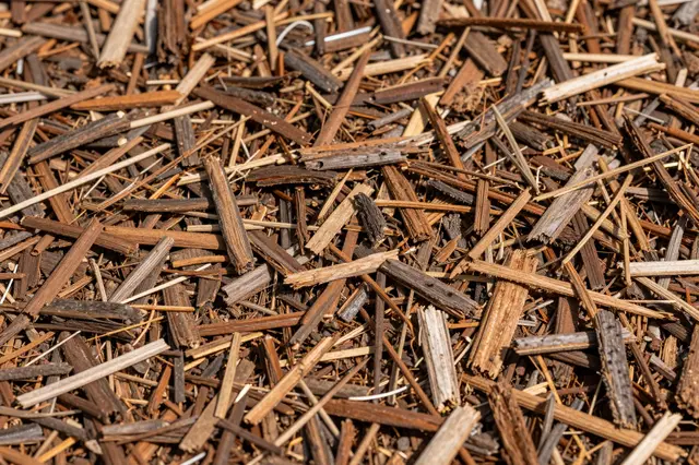 Close-up full frame view of dry shredded bark and wood chip garden mulch texture