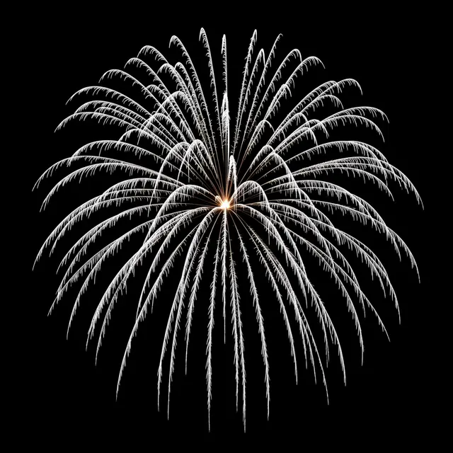 A round silver firework burst with drooping feathery trails glows against a solid pure black background