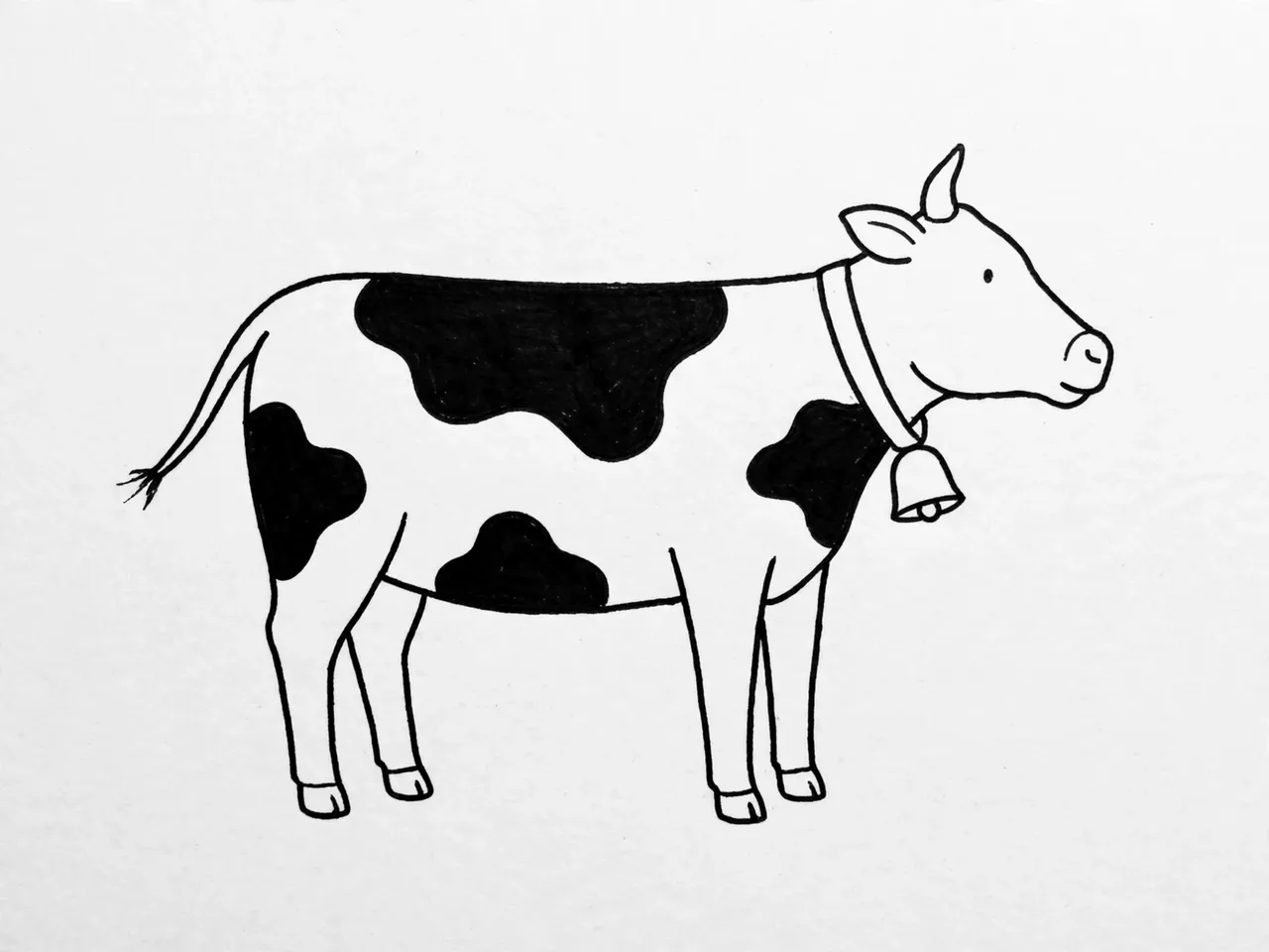 Minimal black line drawing of a side-view spotted dairy cow with a neck bell on plain white paper