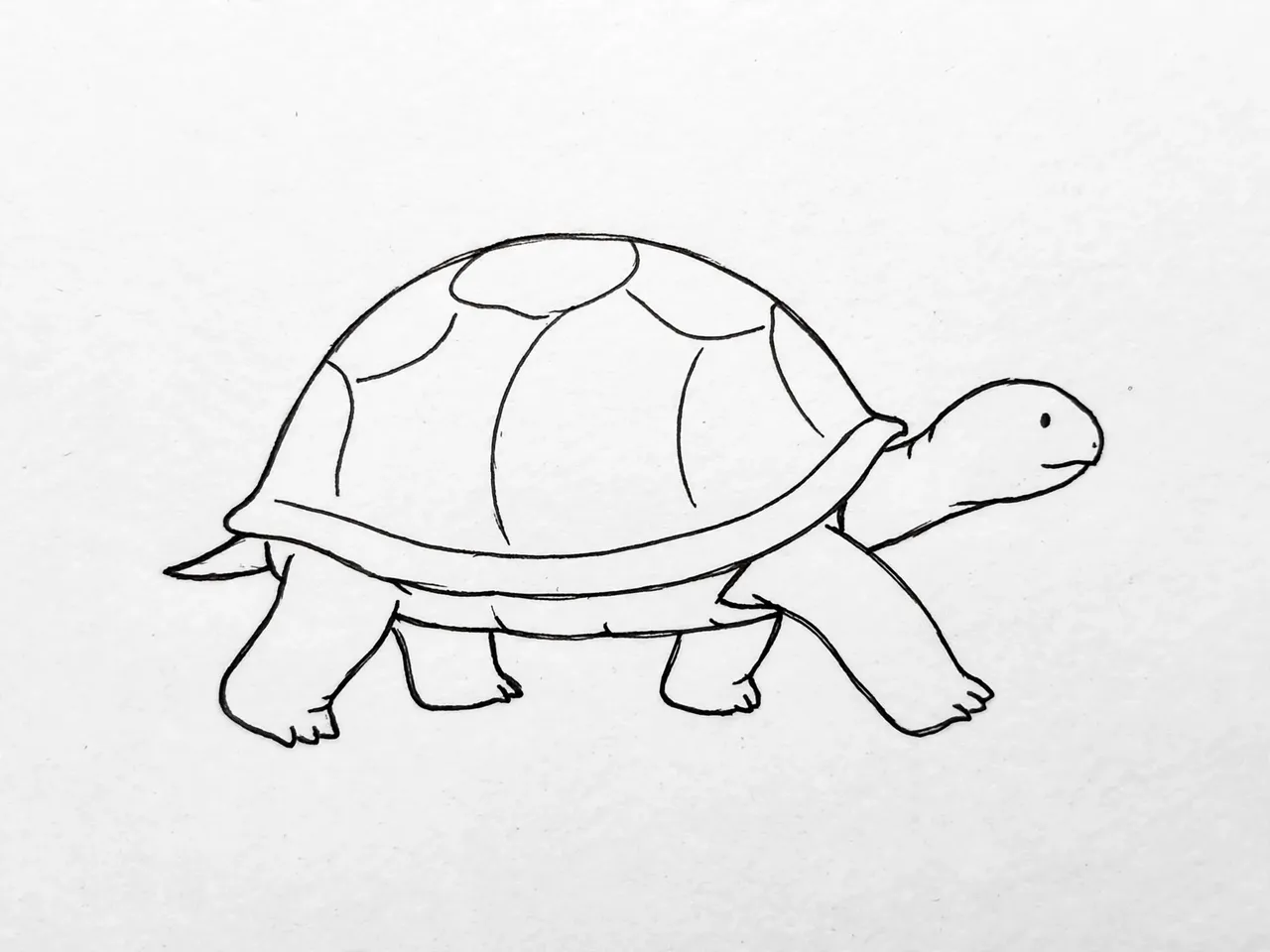 Clean black line drawing of a walking turtle on plain white paper