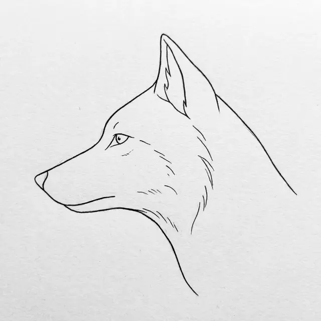 Clean black line drawing of a wolf head in left side view on light textured white paper