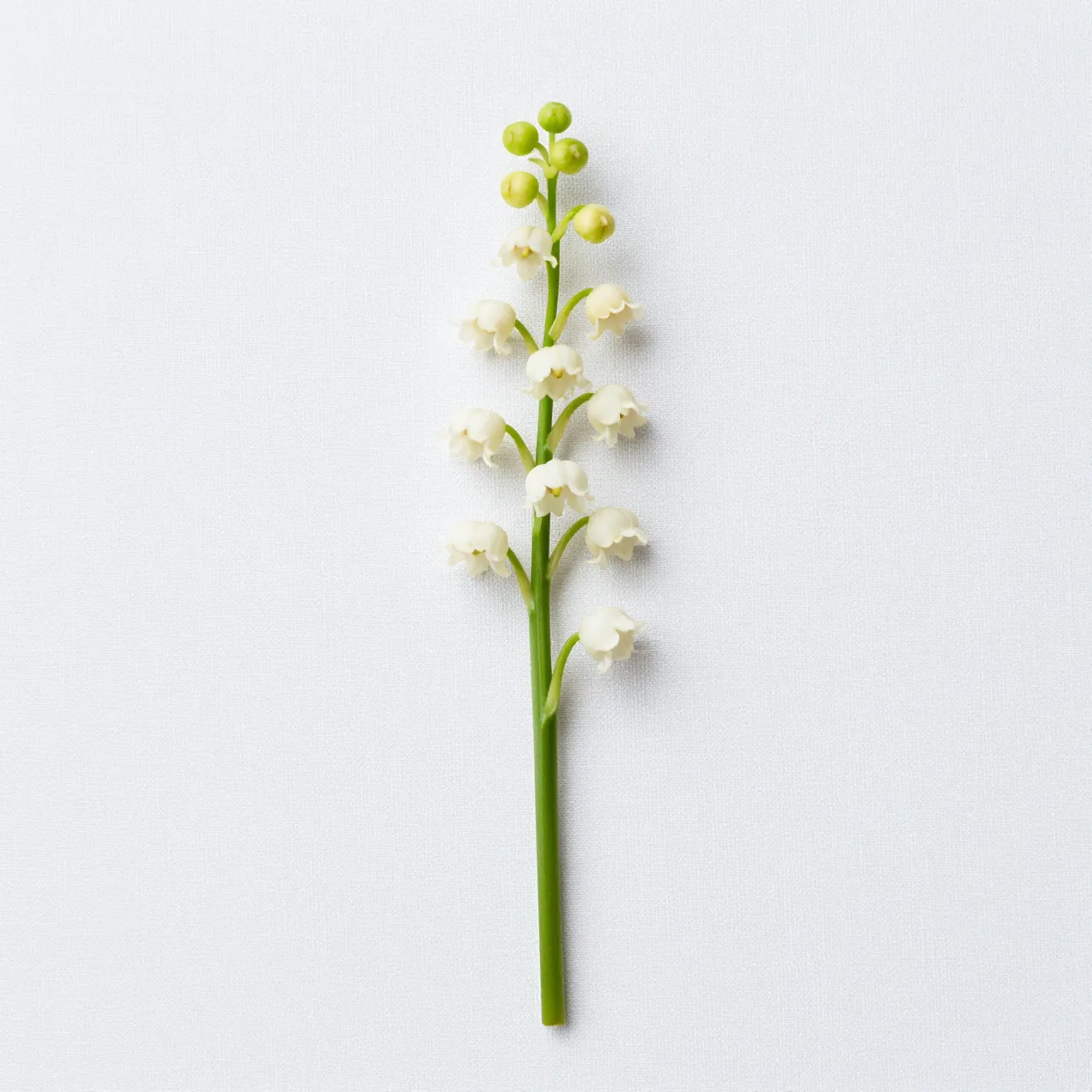 A single lily of the valley stem rests vertically on a plain white linen surface, viewed from above.