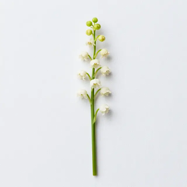 A single lily of the valley stem rests vertically on a plain white linen surface, viewed from above.