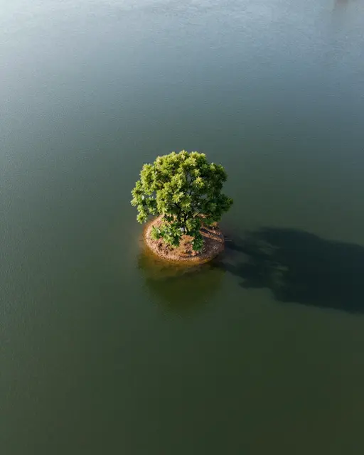 Aerial view of a small round island holding one lush green tree in calm still lake water
