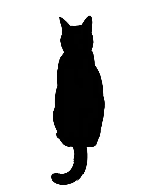 Solid black silhouette of a seated cat viewed from behind on a plain white background