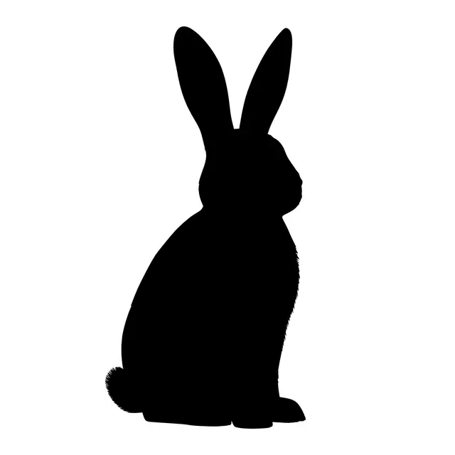 Solid black silhouette of a sitting rabbit with upright ears on a plain white background