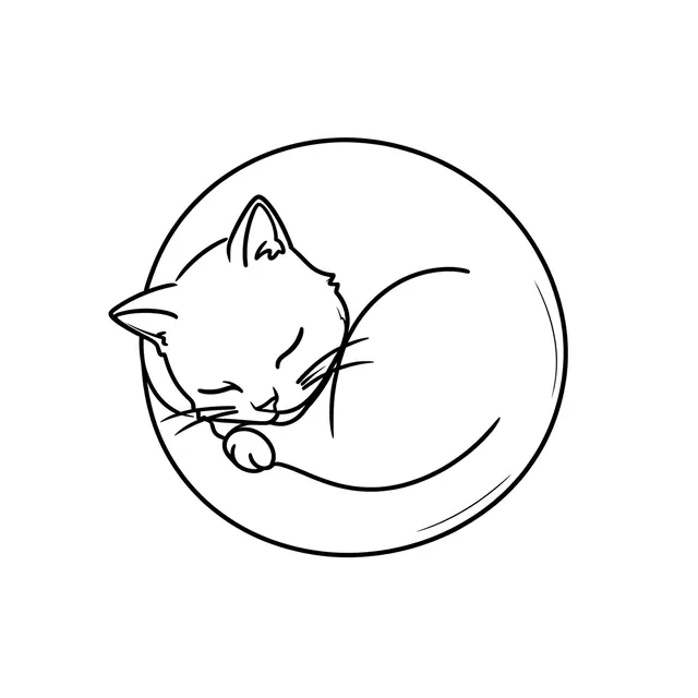 A minimalist continuous black line drawing of a curled sleeping cat on a plain white background