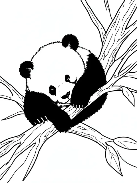 Black and white line art of a sleeping panda cub draped across tree branches on a plain white background