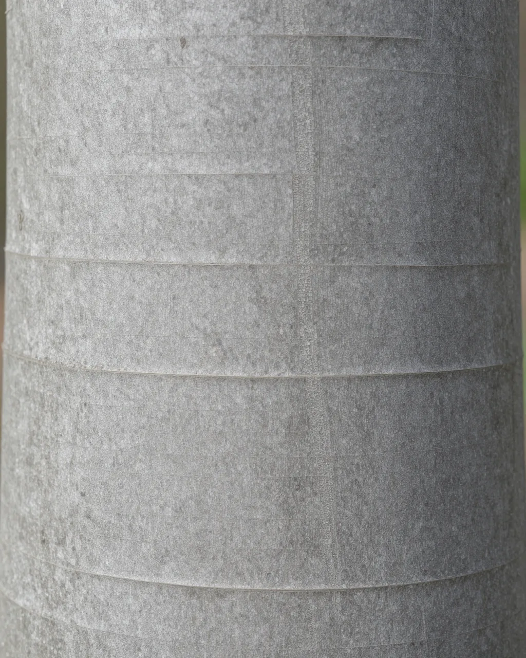 Full frame close-up of smooth muted gray beech tree bark with faint natural mottling