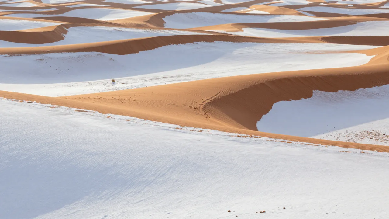 Smooth orange desert dune crests rise above white snow-filled hollows in a rare post-snowfall desert landscape at sunrise