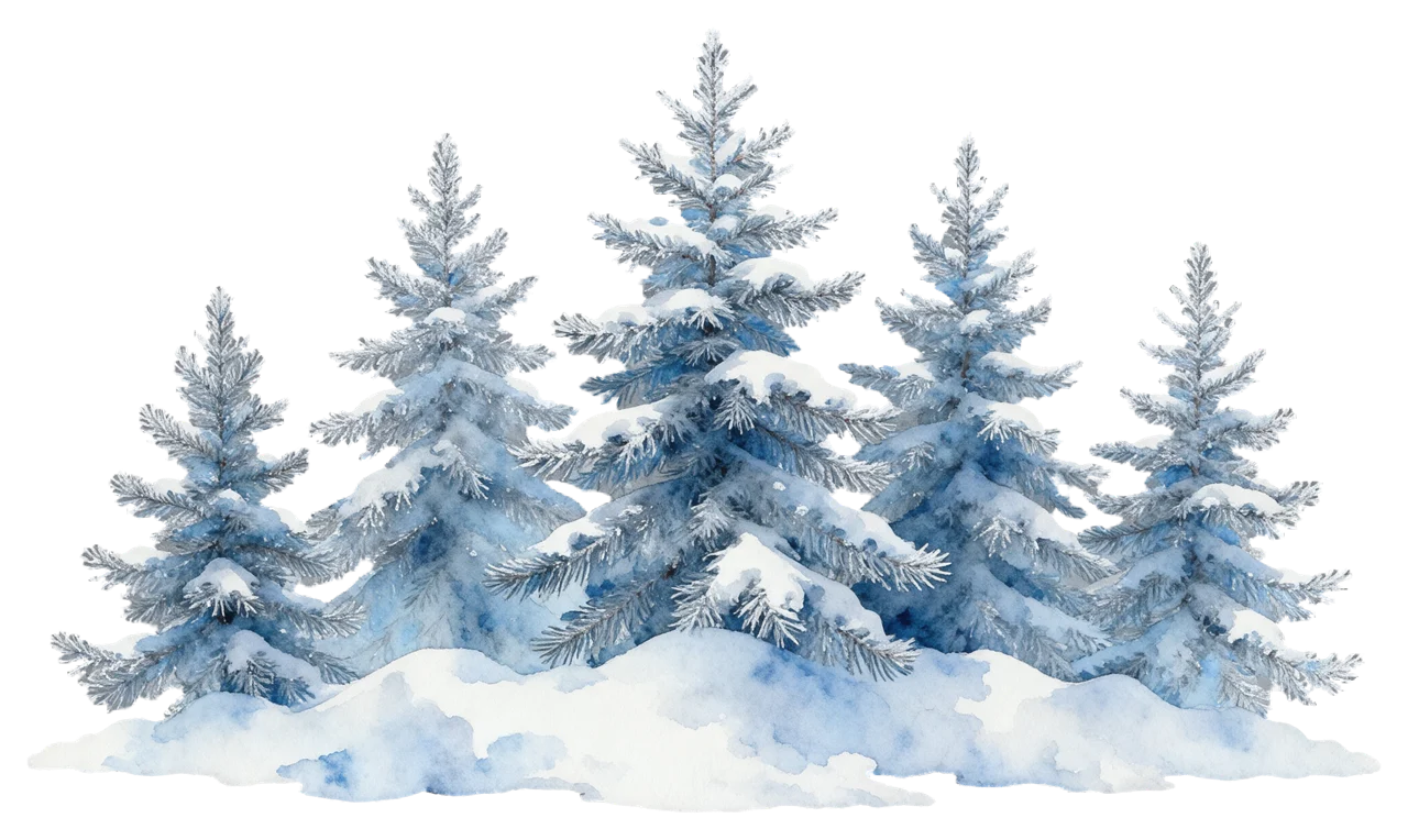 Watercolor row of five snow-covered pine trees of varying heights above soft snow drifts