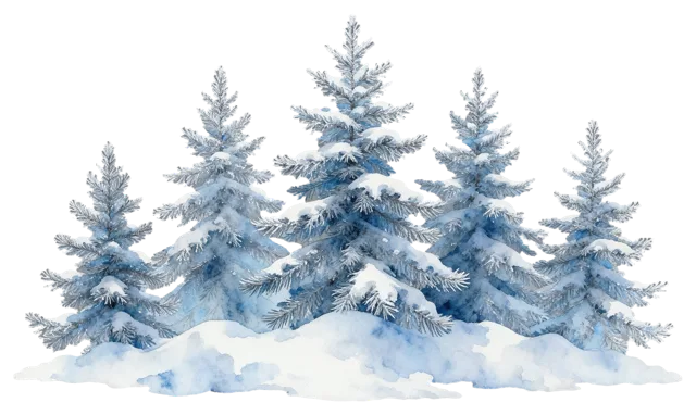 Watercolor row of five snow-covered pine trees of varying heights above soft snow drifts