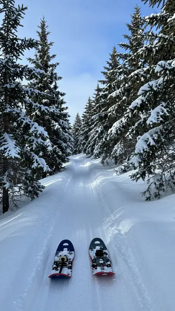 First person view of snowshoes resting on a groomed snowy spruce trail under a bright blue sky