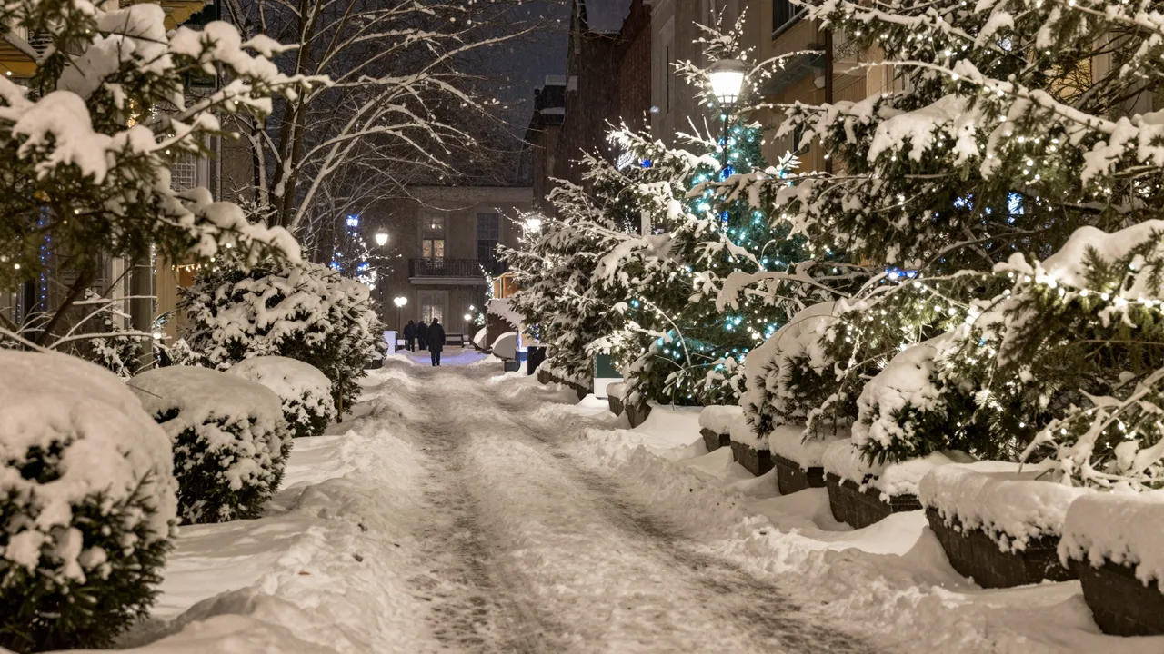Snow covers a residential street lined with lit evergreen trees under a dark festive night sky
