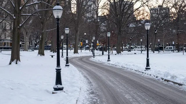 A curved plowed park path lined with old lampposts winds through snow-covered ground at winter dusk
