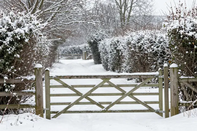 A snow-covered wooden gate closes off a hedgerow lined country lane during falling snow