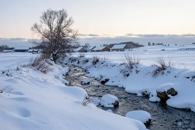 An unfrozen winter stream winds through deep snow covered countryside at pale dusk, with distant rural farm buildings.
