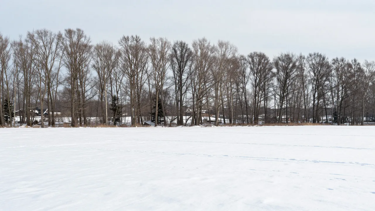 A wide snow-covered field stretches toward a row of leafless trees beneath a pale overcast winter sky