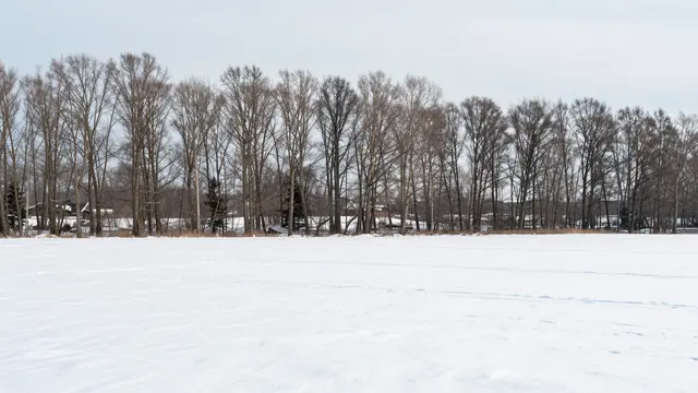 A wide snow-covered field stretches toward a row of leafless trees beneath a pale overcast winter sky