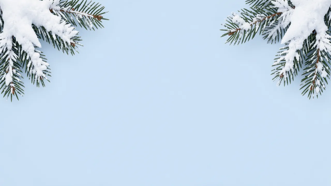 Snow-covered fir branches frame the top corners of a pale icy blue empty background
