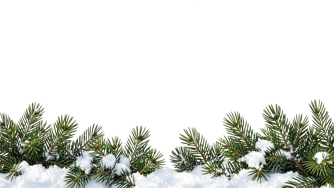 Snow-dusted evergreen fir branches line the bottom edge with empty white copy space above