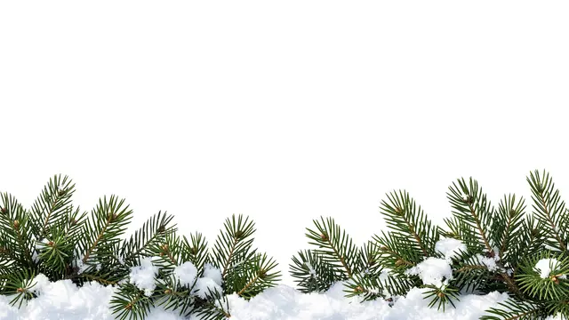 Snow-dusted evergreen fir branches line the bottom edge with empty white copy space above