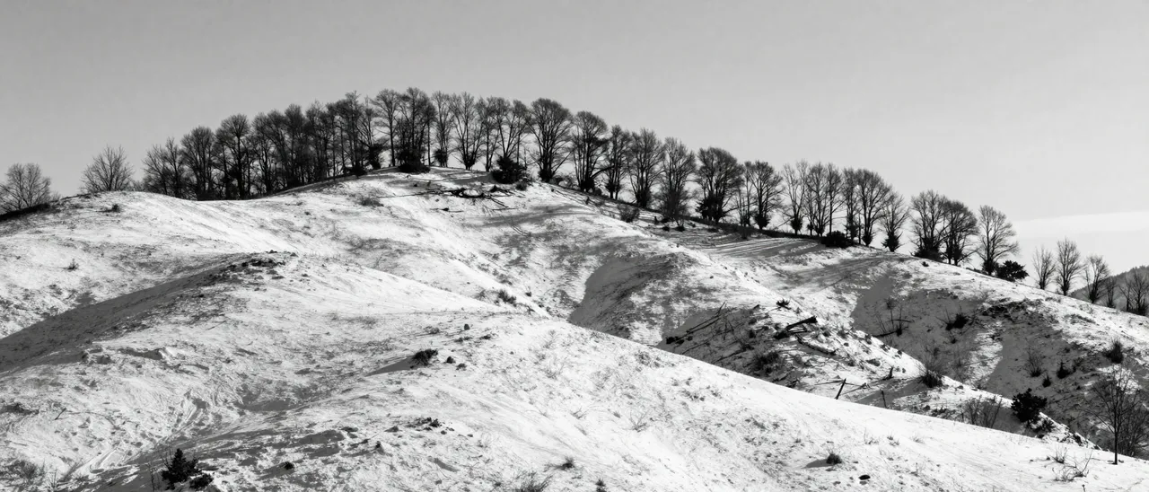 Black and white view of snow-dusted rolling hills lined with bare trees along the upper ridge