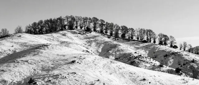 Black and white view of snow-dusted rolling hills lined with bare trees along the upper ridge
