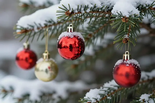 Shiny red and gold Christmas baubles hang from a snow-covered evergreen pine branch in close-up view.