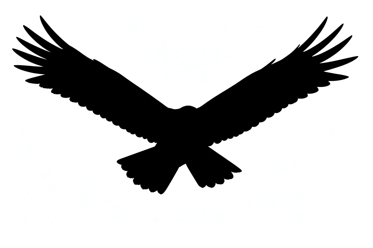 Solid black silhouette of a soaring hawk with fully outstretched wings against a plain white background