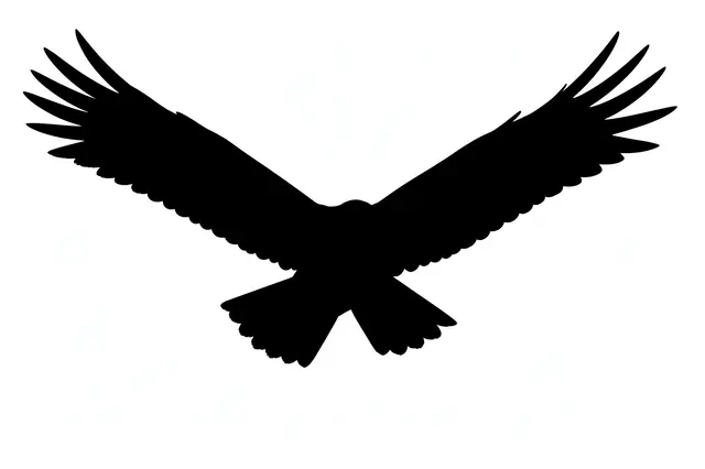 Solid black silhouette of a soaring hawk with fully outstretched wings against a plain white background