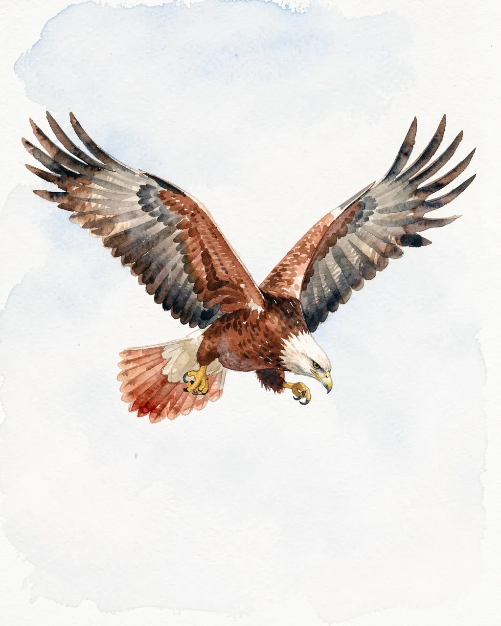 Watercolor painting of a white-headed bird of prey with a rusty red tail flying with wide spread wings against a pale wash