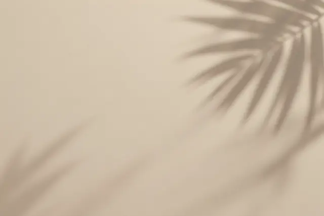 Diffused soft shadows of palm fronds fall across a smooth matte beige wall