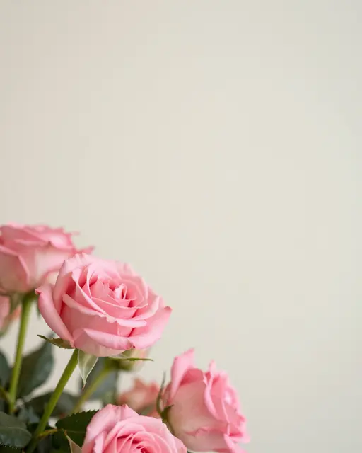 Clustered soft pink roses in the lower left frame against a smooth creamy beige empty background