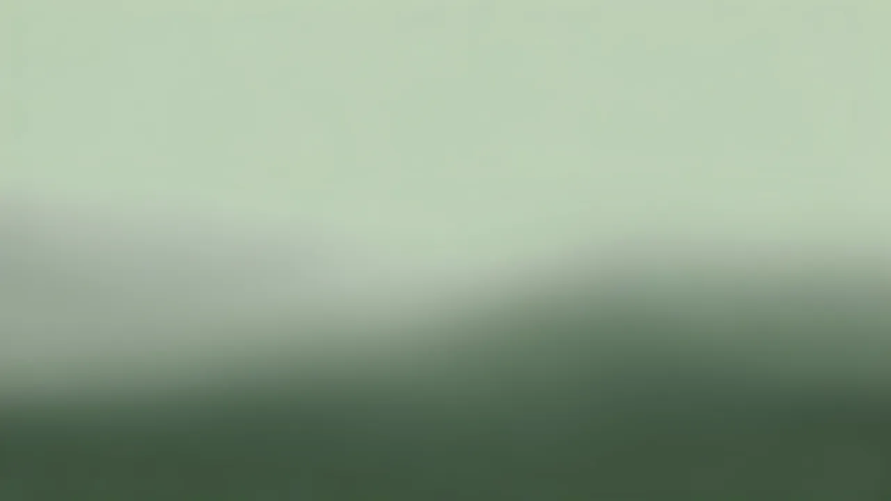 A smooth blurred gradient background transitioning from pale sage to deeper gray-green at a soft hazy horizon.