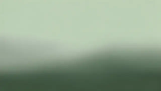 A smooth blurred gradient background transitioning from pale sage to deeper gray-green at a soft hazy horizon.