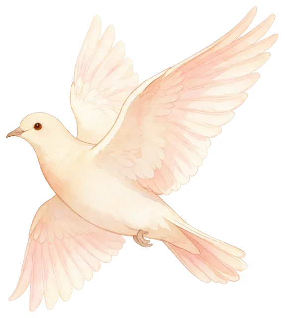 A side view of a dove in flight rendered in soft pink and cream watercolor washes
