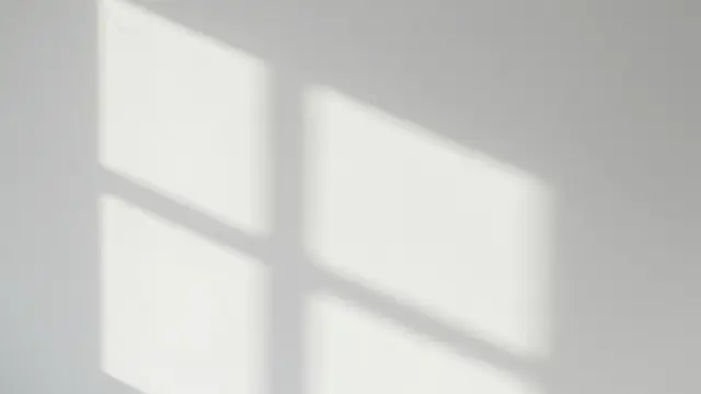 Gentle diffused window pane shadows fall across a plain light gray interior wall.