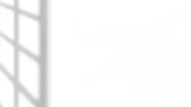 A soft blurred gray window frame shadow falls on a plain white surface with empty space on the right.