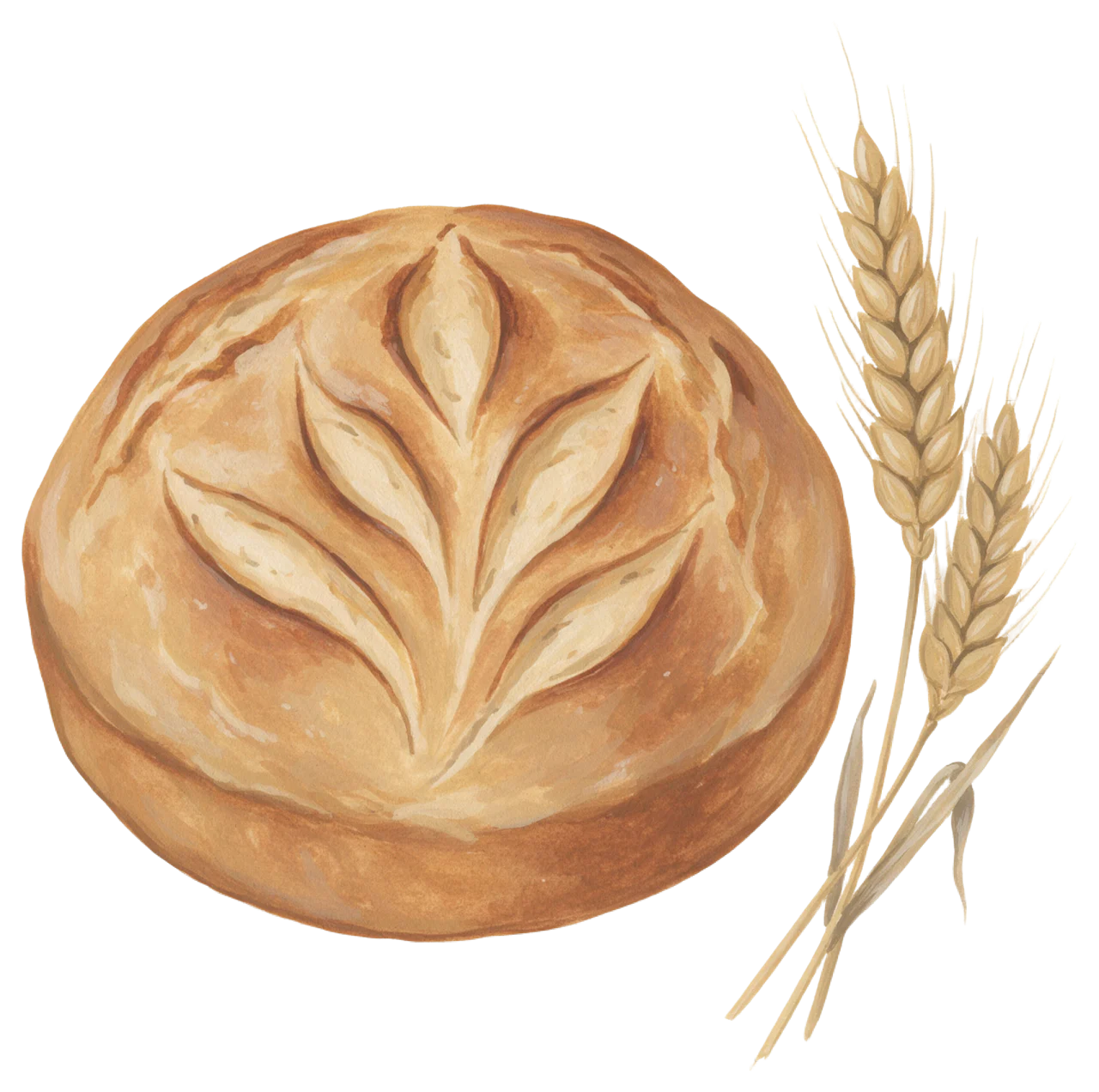 Gouache illustration of a scored rustic sourdough loaf next to two wheat ears