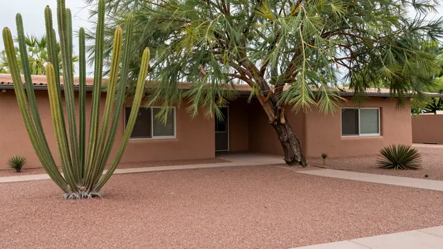 A low adobe desert home sits behind a red gravel front yard with cacti and a tall palo verde tree.