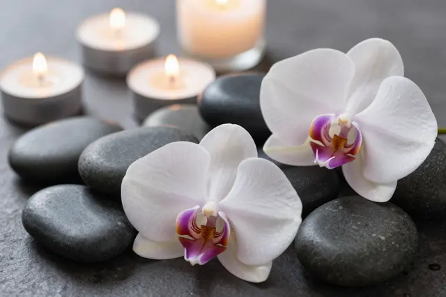 Smooth black spa stones, white purple orchids, and lit tealight candles rest on a dark stone surface.