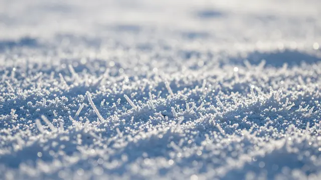Delicate needle frost crystals glint in soft morning light above a blurred icy bokeh field